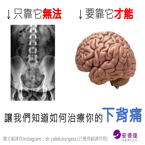 骨科影像結果