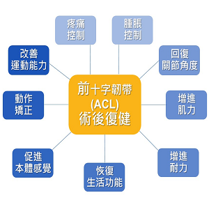 前十字韌帶復健指南