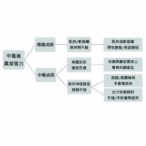 【中風復健衛教】 異常高張力介紹